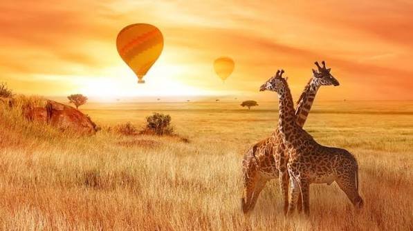 EAST AFRICA KENYA & TANZANIA 14 NIGHTS / 15 DAYS